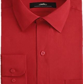 Camisa clássica- Trabalho Negócio